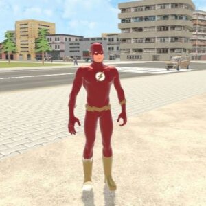 Flash