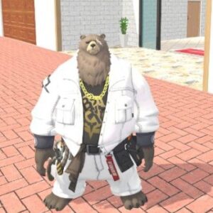 Mota Bear