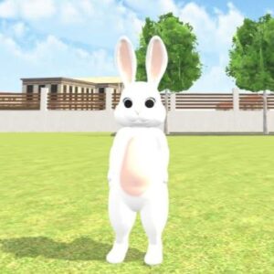 Rabbit